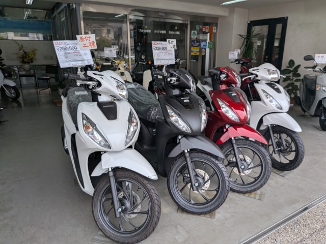 �z���_�f�B�I110�i���Q�����R�s�j�摜10