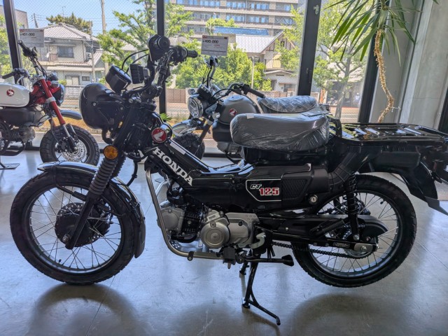 �z���_CT125�i���Q�����R�s�j�摜3