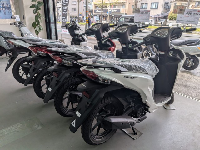 �z���_�f�B�I110�i���Q�����R�s�j�摜11