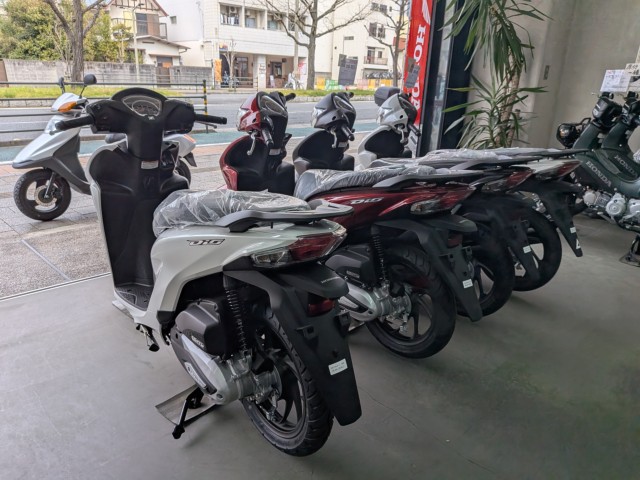 �z���_�f�B�I110�i���Q�����R�s�j�摜12