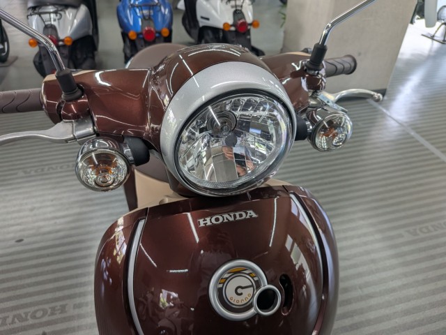 �z���_�W�����m�i���Q�����R�s�j�摜5