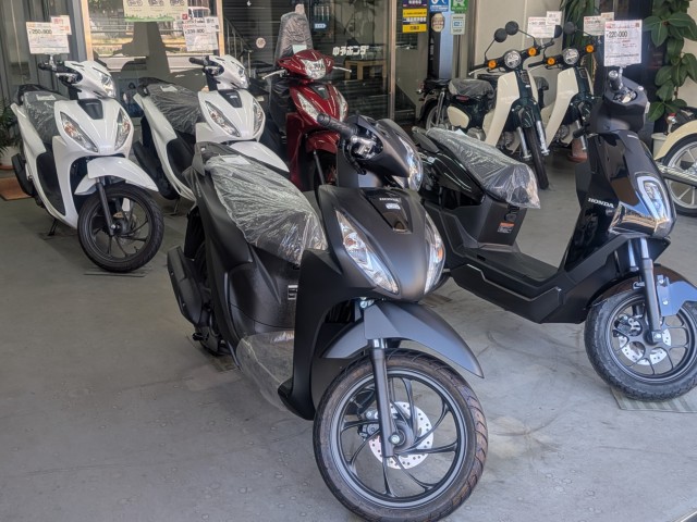 �z���_�f�B�I�i���Q�����R�s�j�摜9