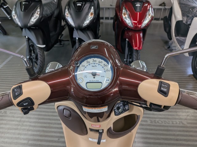 �z���_�W�����m�i���Q�����R�s�j�摜6
