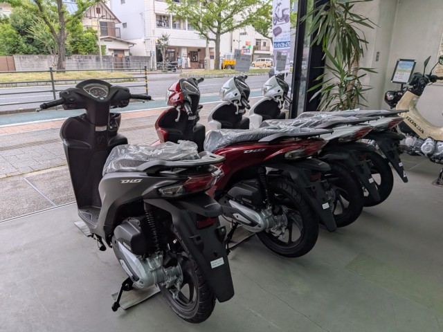 �z���_�X�[�p�[�J�u50�i���Q�����R�s�j�摜12