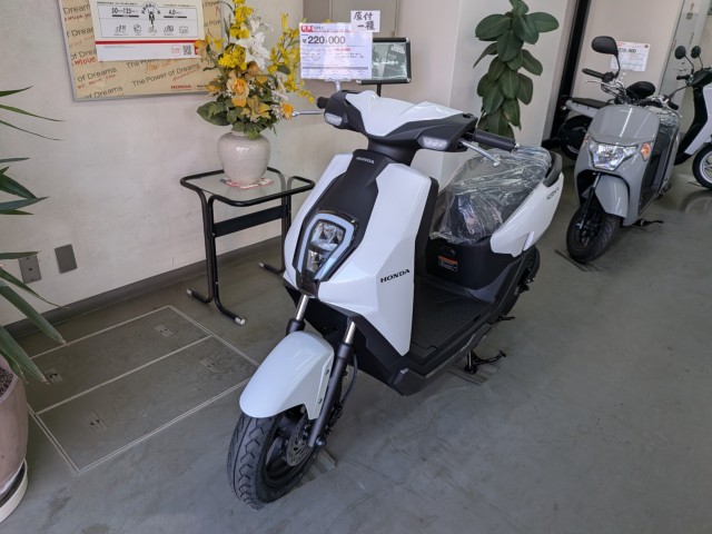 �z���_�Y�[�}�[�i���Q�����R�s�j�摜12