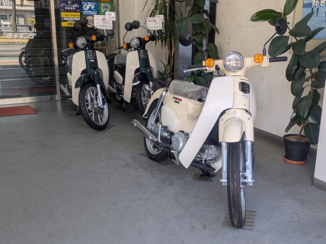 �z���_�f�B�I�i���Q�����R�s�j�摜13