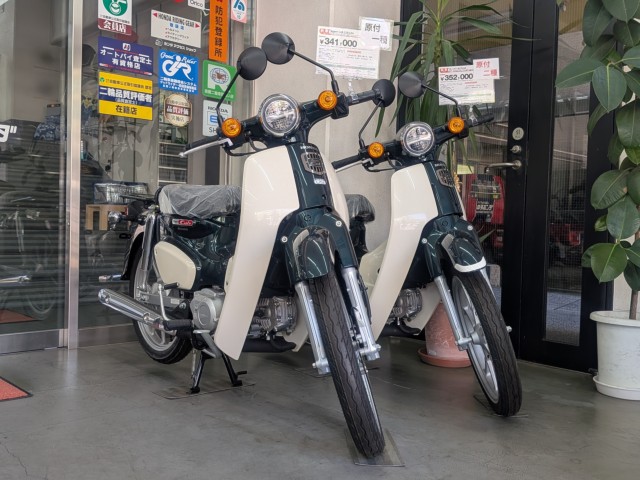 �z���_�f�B�I�i���Q�����R�s�j�摜15