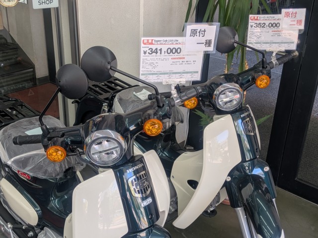 �z���_�f�B�I�i���Q�����R�s�j�摜16