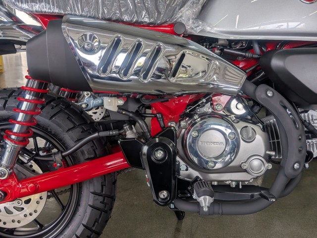 �z���_�����L�[125�i���Q�����R�s�j�摜9