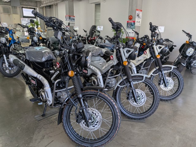 �z���_CT125�i���Q�����R�s�j�摜10
