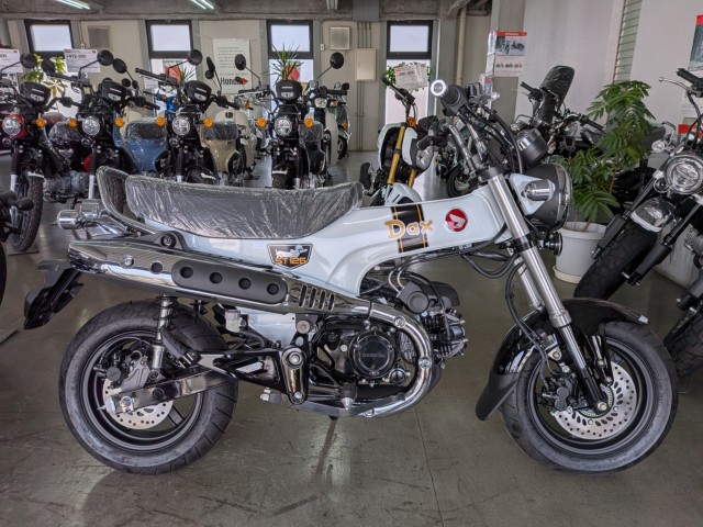 �z���_�_�b�N�X125�i���Q�����R�s�j�摜1