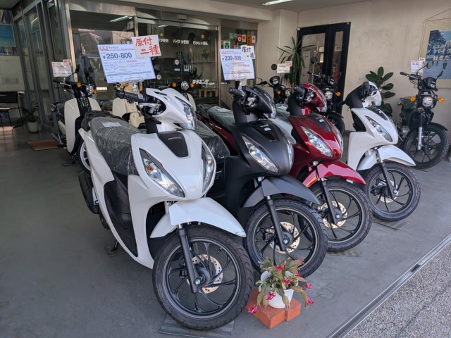 �z���_�Y�[�}�[�i���Q�����R�s�j�摜10