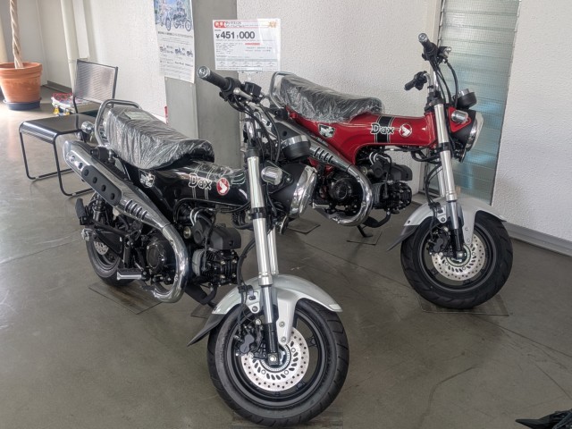 �z���_�����L�[125�i���Q�����R�s�j�摜13