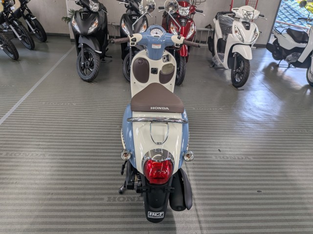 �z���_�W�����m�i���Q�����R�s�j�摜4
