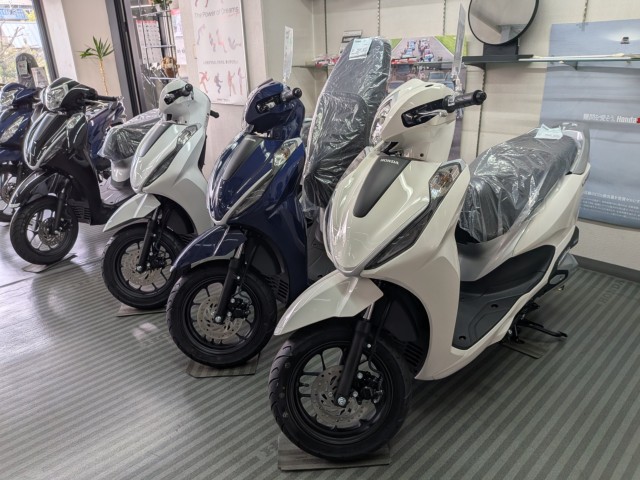 �z���_�X�y�C�V�[100�i���Q�����R�s�j�摜14