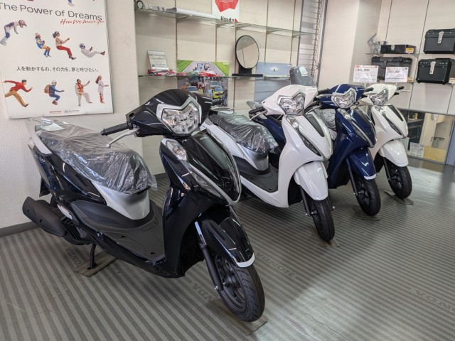 �z���_�f�B�I110�i���Q�����R�s�j�摜13