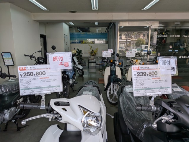 �z���_Cross Cub 110 Lite�i���Q�����R�s�j�摜13