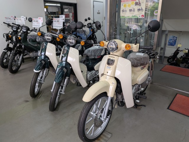 �z���_�X�[�p�[�J�u50�i���Q�����R�s�j�摜13