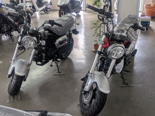 �z���_�����L�[125�i���Q�����R�s�j�摜15