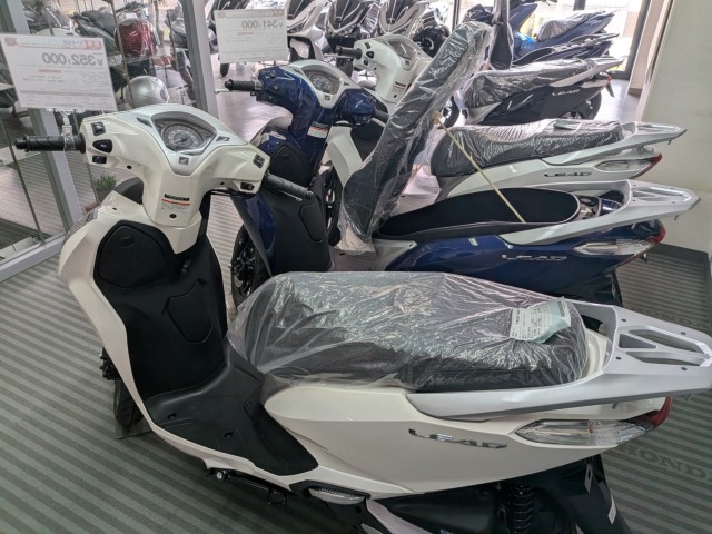 �z���_�X�y�C�V�[100�i���Q�����R�s�j�摜15