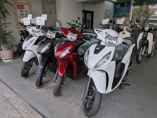 �z���_Cross Cub 110 Lite�i���Q�����R�s�j�摜14