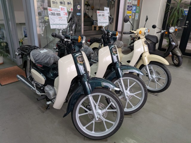 �z���_�X�[�p�[�J�u50�i���Q�����R�s�j�摜14