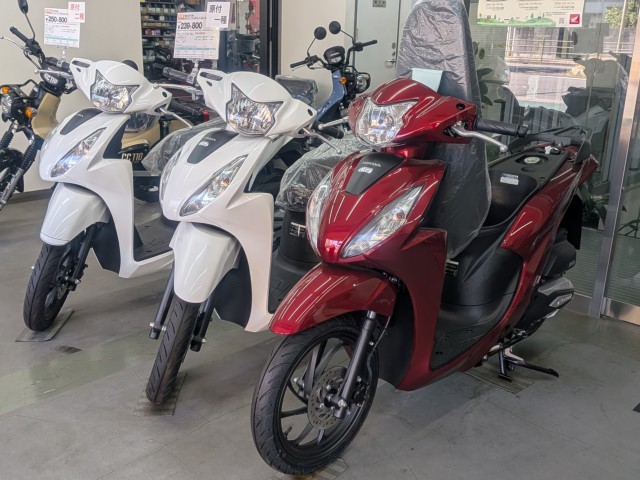 �z���_�f�B�I�i���Q�����R�s�j�摜11