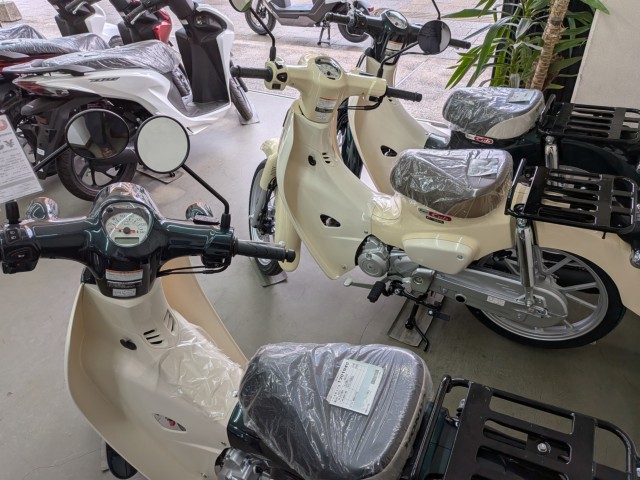 �z���_ICON e:�i���Q�����R�s�j�摜15