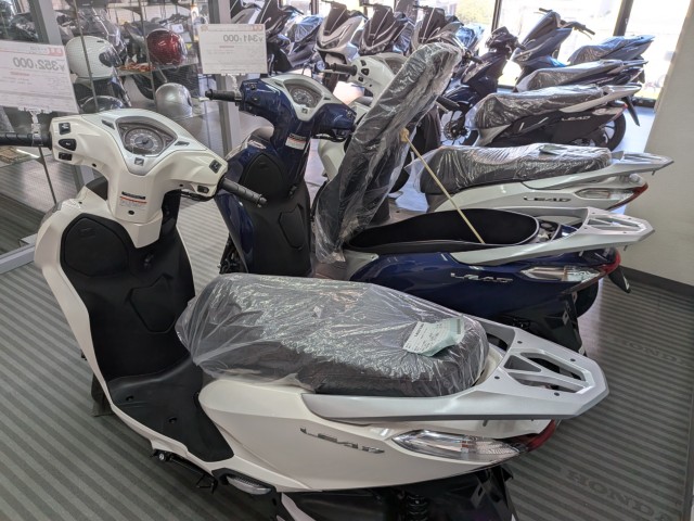 �z���_�f�B�I110�i���Q�����R�s�j�摜15