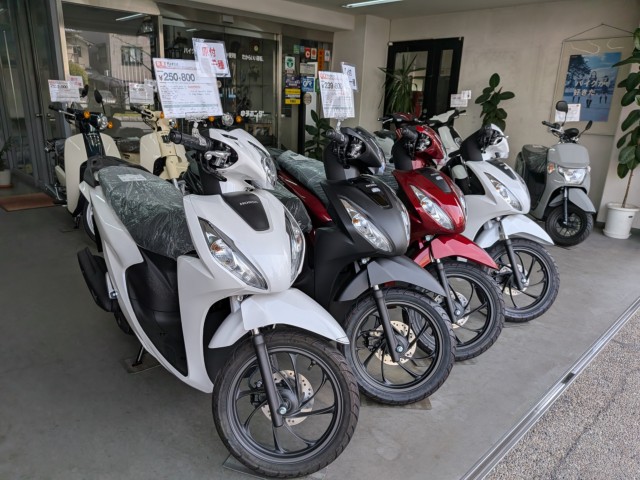 �z���_Cross Cub 110 Lite�i���Q�����R�s�j�摜15