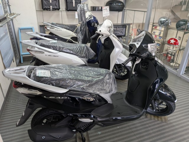 �z���_PCX�i���Q�����R�s�j�摜16