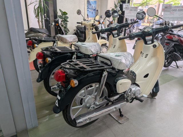 �z���_�X�[�p�[�J�u50�i���Q�����R�s�j�摜15