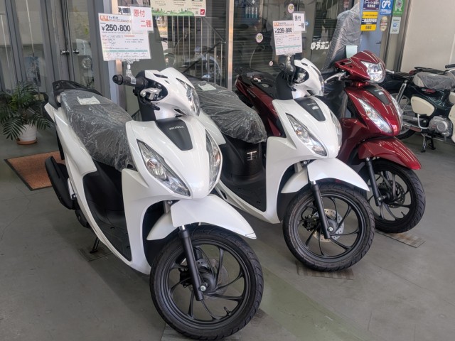 �z���_�f�B�I�i���Q�����R�s�j�摜12