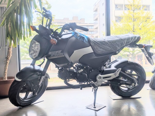 �z���_�����L�[125�i���Q�����R�s�j�摜18