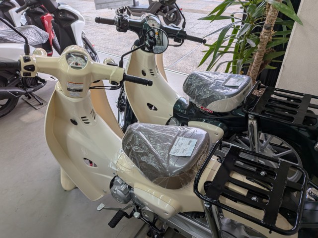 �z���_ICON e:�i���Q�����R�s�j�摜16