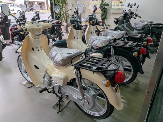 �z���_�X�[�p�[�J�u50�i���Q�����R�s�j�摜16