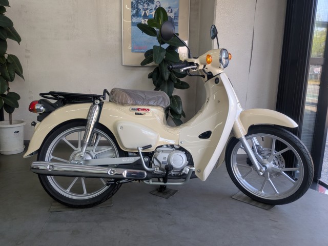 �z���_�f�B�I�i���Q�����R�s�j�摜14