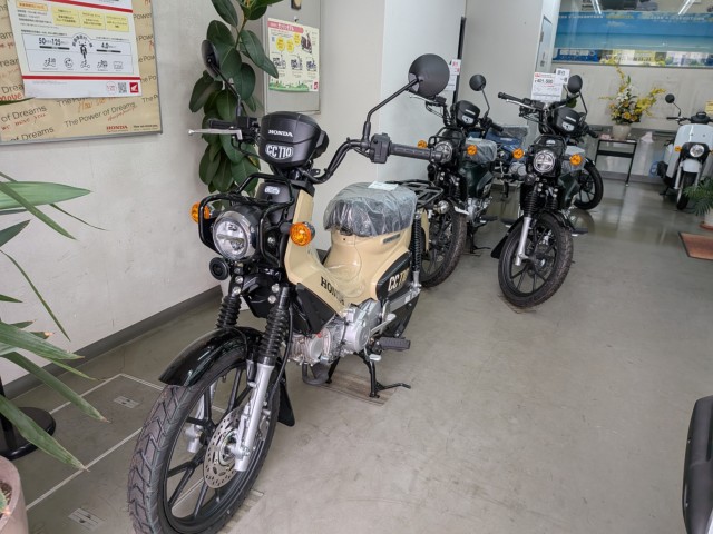 �z���_�X�[�p�[�J�u50�i���Q�����R�s�j�摜17