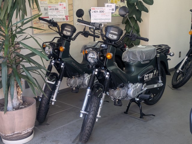 �z���_�f�B�I�i���Q�����R�s�j�摜17