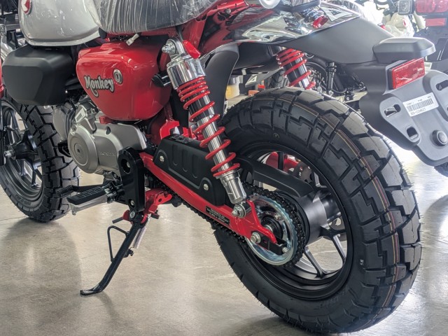 �z���_�����L�[125�i���Q�����R�s�j�摜12