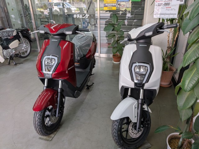 �z���_Cross Cub 110 Lite�i���Q�����R�s�j�摜19