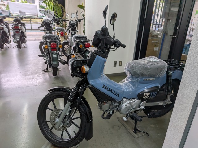 �z���_�X�[�p�[�J�u50�i���Q�����R�s�j�摜19