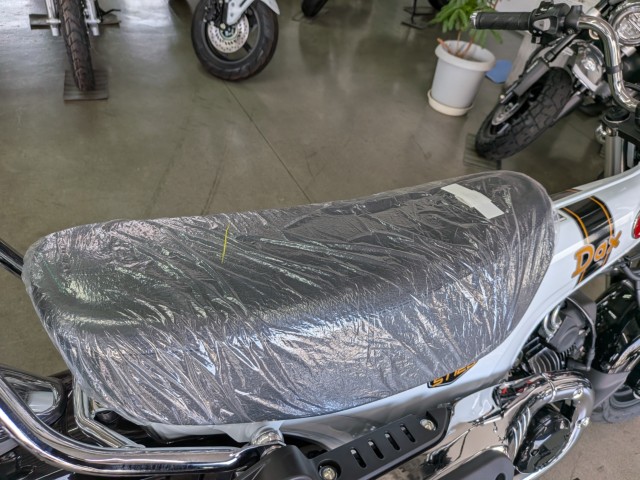 �z���_�_�b�N�X125�i���Q�����R�s�j�摜15