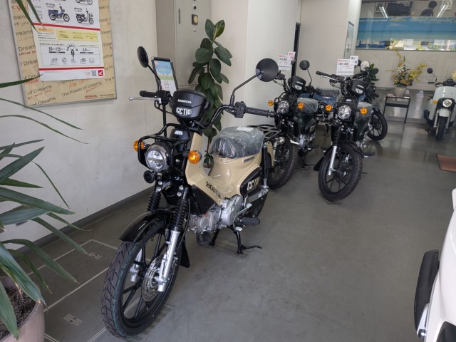 �z���_�W�����m�i���Q�����R�s�j�摜17