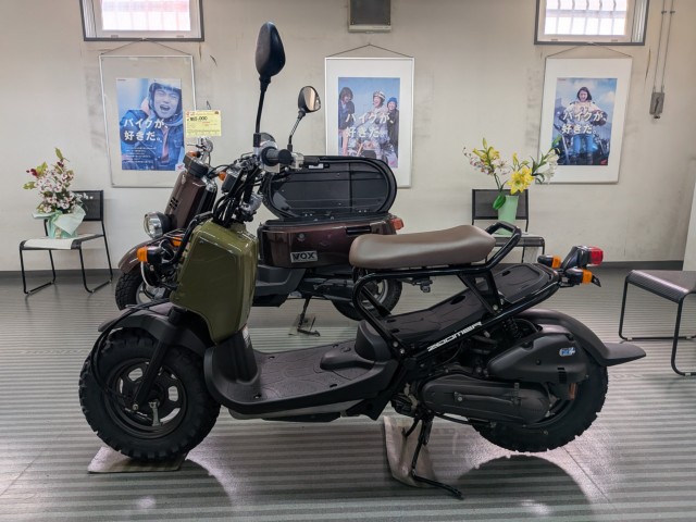 �z���_�Y�[�}�[�i���Q�����R�s�j�摜3