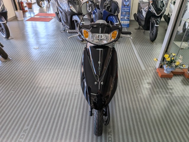 �z���_�f�B�I�i���Q�����R�s�j�摜3