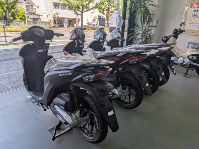�z���_�W�����m�i���Q�����R�s�j�摜12