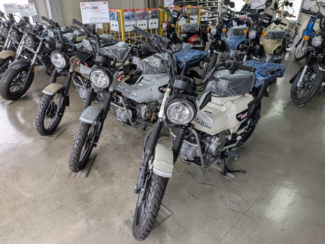 �z���_�����L�[125�i���Q�����R�s�j�摜14