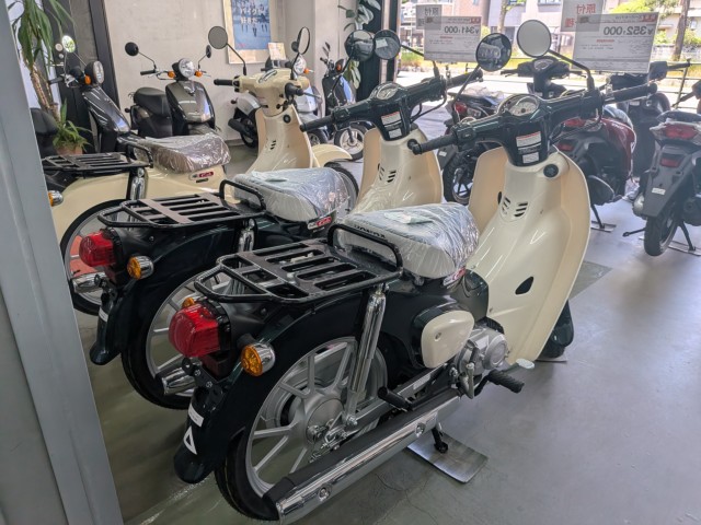 �z���_�W�����m�i���Q�����R�s�j�摜15