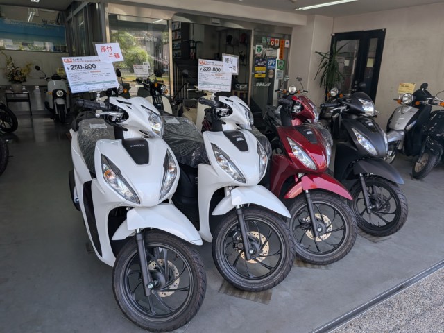 �z���_�W�����m�i���Q�����R�s�j�摜10